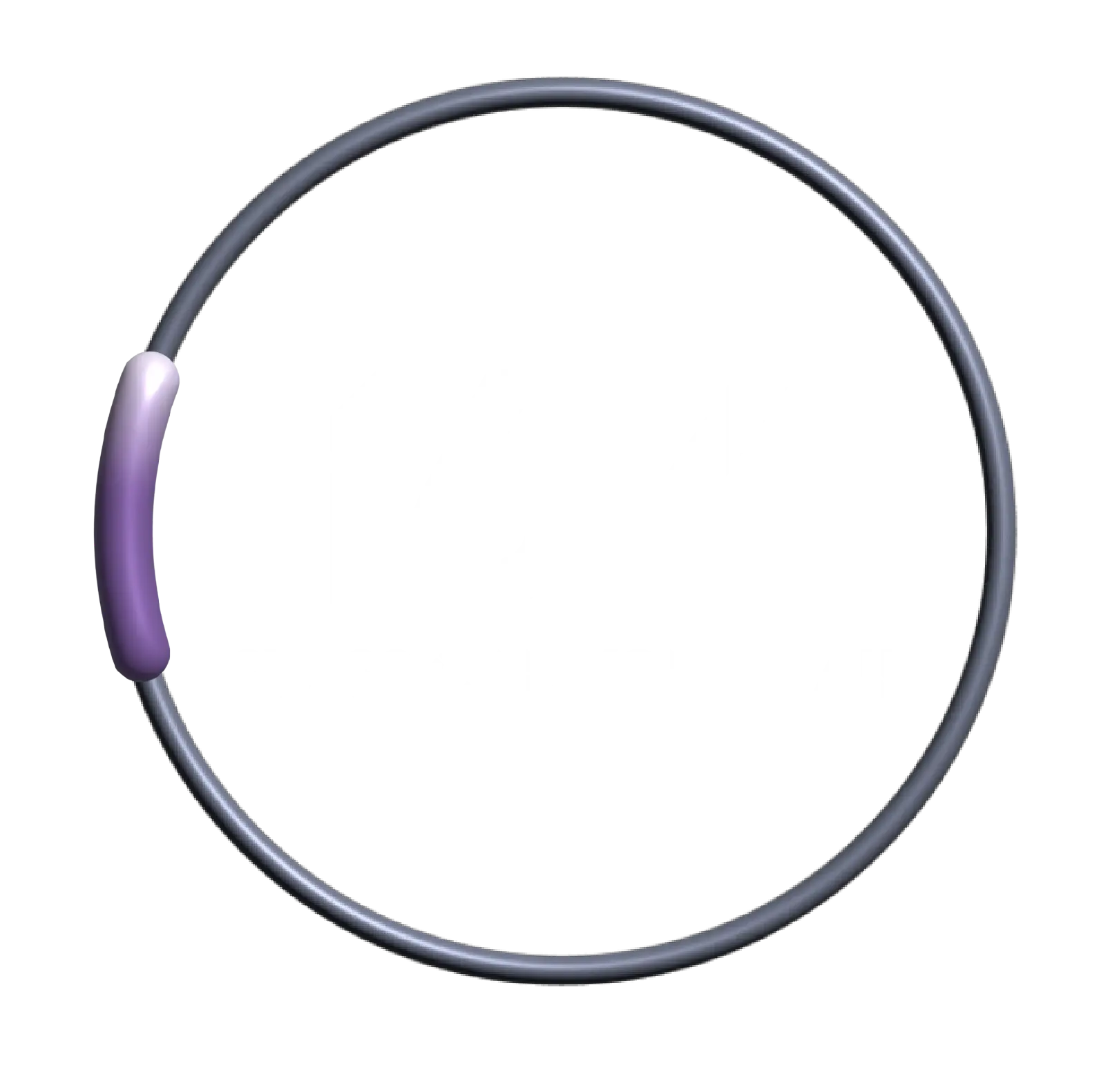 Swiss Canyon Trail 16K course logo