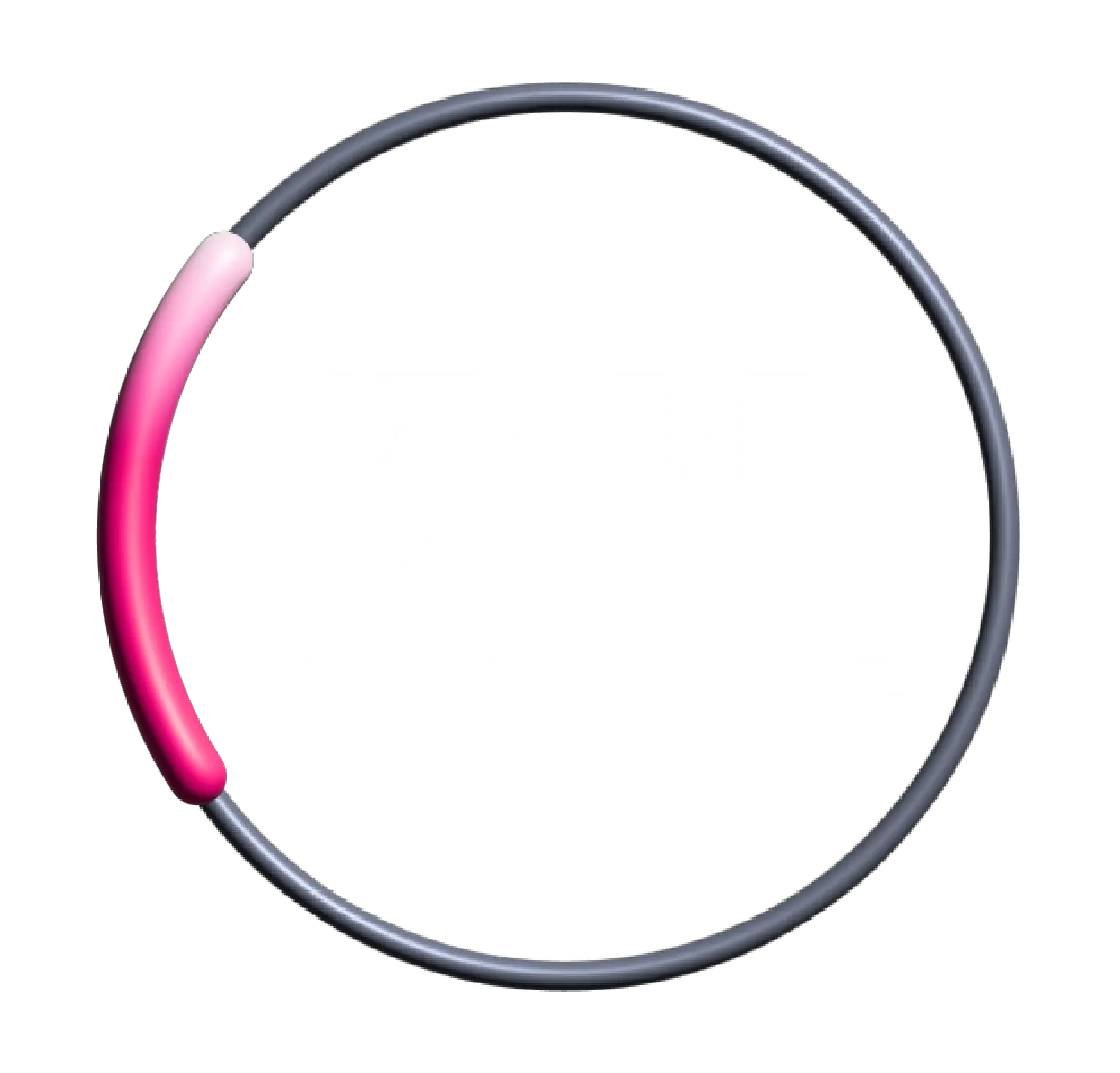 logo parcours Swiss Canyon Trail 31K