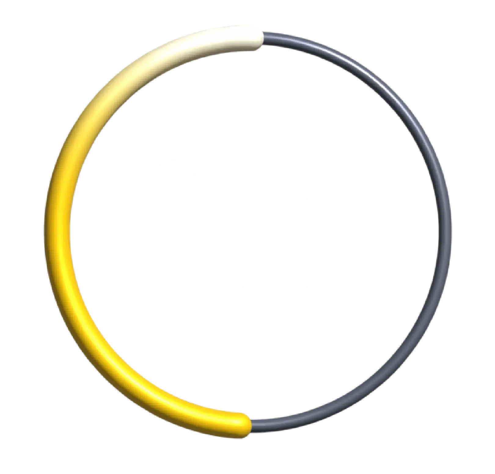 Swiss Canyon Trail 81K trail logo